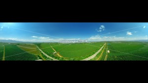 蒙自葡萄园种植基地