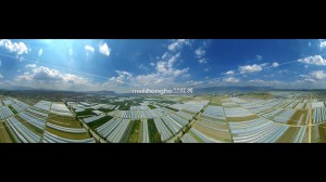 草坝蔬菜大棚种植基地